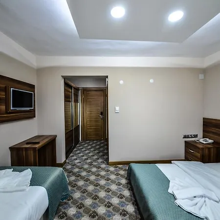 Hotel Basari