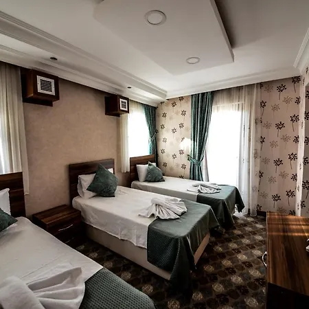 Basari Hotel 3*